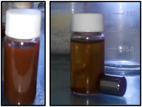 Synthesis and Characterization of Magnetite/Gold Core Shell ...
