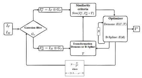 Contour Propagation for Radiotherapy Treatment Planning Using Nonrigid ...