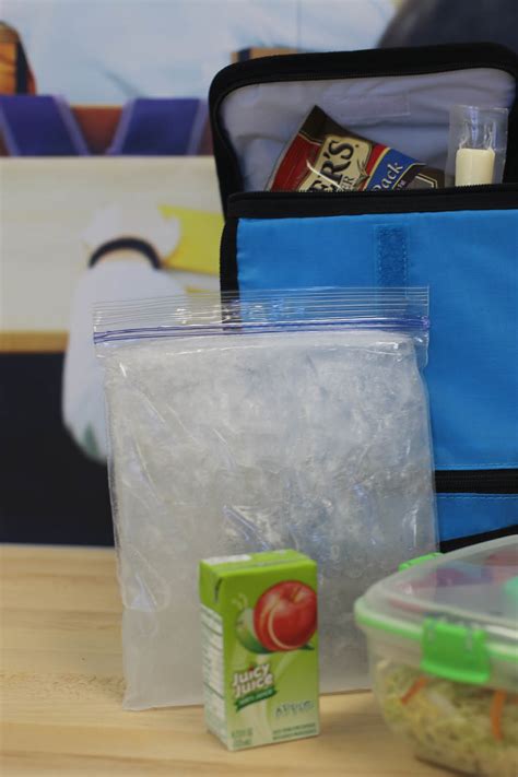 Homemade Cooler Ice Pack at Corrina Davis blog