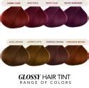 Paradyes No Bleach Glossy Hair Tint, For Natural Black , Cherry Coke ...