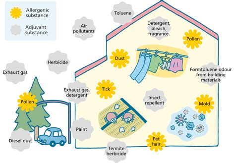 Pollen Effect & Solution| Air Purifier for Pollen Season | Daikin India