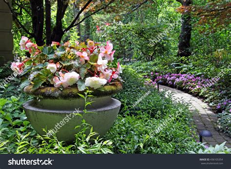 16 Impatient Flower Container Images, Stock Photos & Vectors | Shutterstock