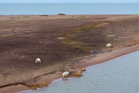 Size vs. strength: Comparing earthquakes - Anchorage Daily News