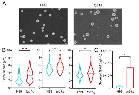 Integrative Transcriptomic and Systems Biology Analyses Identify TCB1 ...