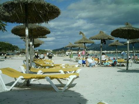 THE BEST Places to Visit in Alcudia (UPDATED 2024) - Tripadvisor