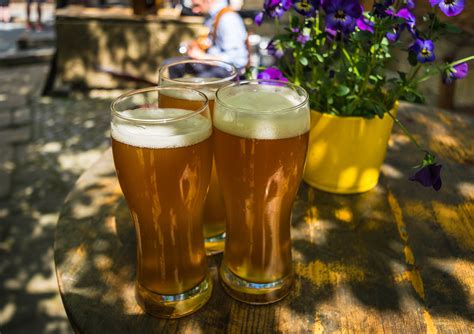 American Wheat Ale Recipe