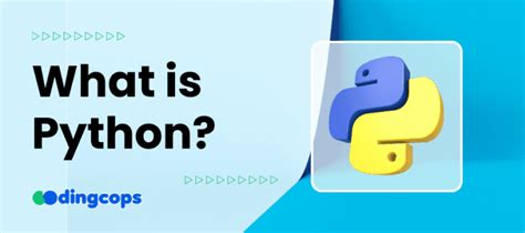 Image result for Python Versus