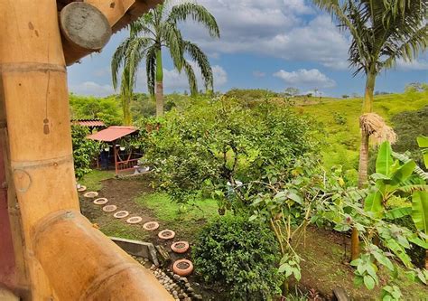 HOSTAL EL NARANJITO (Filandia) - Hostel Reviews & Photos - Tripadvisor