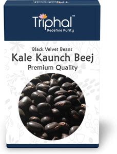 Triphal Kaunch Beej Kale – Black Velvet Beans – Mucuna Pruriens Seed ...