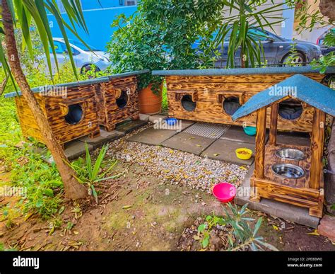 Self made shelters for feral cats and dogs by local volunteers and ...
