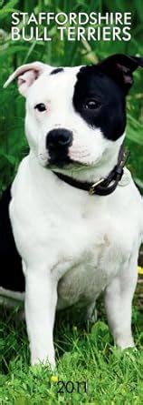 Buy Staffordshire Bull Terriers 2011 Book Online at Low Prices in India ...
