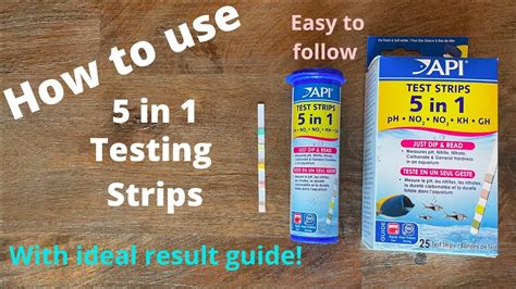 Rezultat imagine pentru API Test Strips