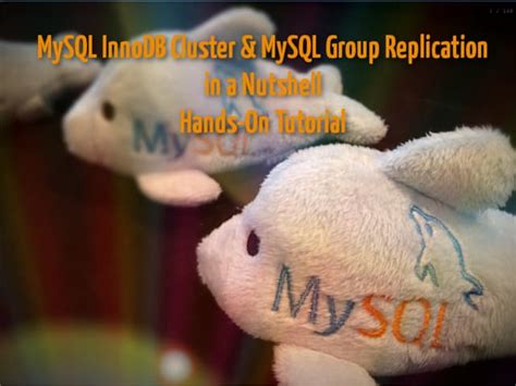 Image result for MySQL InnoDB Replication