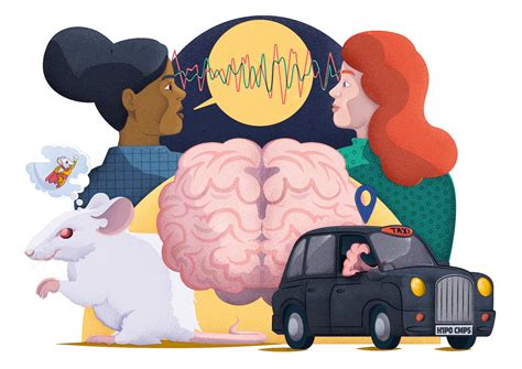 Human Brain Explained 的图像结果