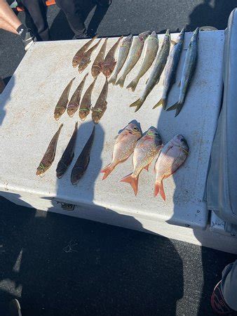 The Reel Thing Fishing Charters (Melbourne) - 2022 What to Know Before ...