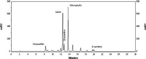 Enhanced Productivity of a Lutein-Enriched Novel Acidophile Microalga ...