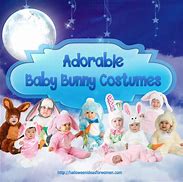 Image result for Cute Baby Bunny with White Background