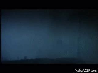 Image result for Monty Python Coconuts GIF