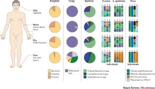 Image result for Microarray eQTL