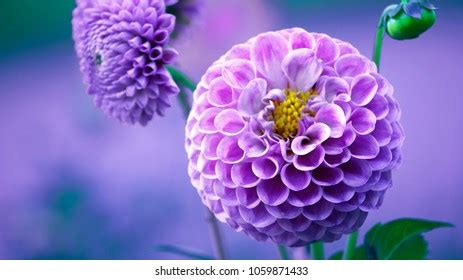 Break Rules 的图像结果