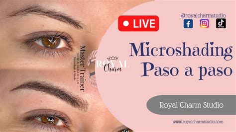 Image result for Microshading Tutorial