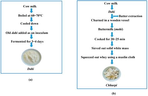 Isolation of Yeasts from Some Homemade Fermented Cow-Milk Products of ...