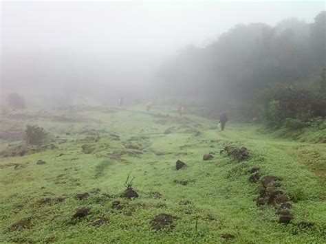 Chandoli National Park, Maharashtra, Indien