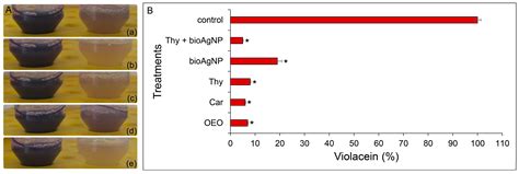 Colonoscopy Prep Stool Color