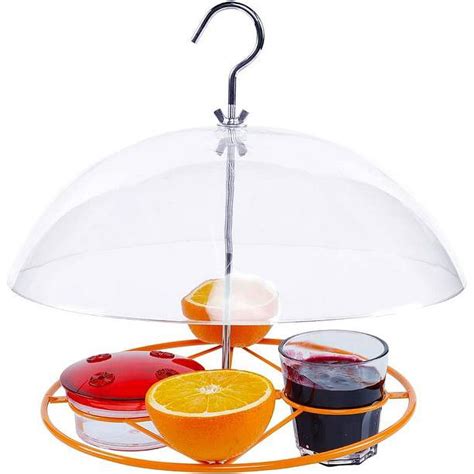 Oriole Bird Feeder, 3 Types Food, Orange Halves Fruit, Drinking Nectar ...