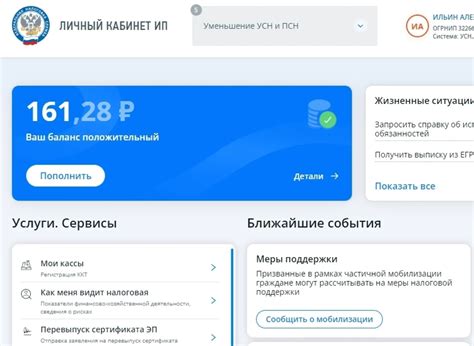Как узнать сальдо ЕНС через личный кабинет налогоплательщика ИП