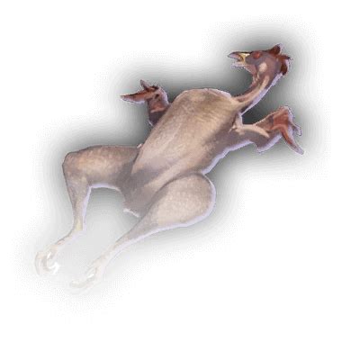 Bluejay corpse - Baldur's Gate 3 Wiki