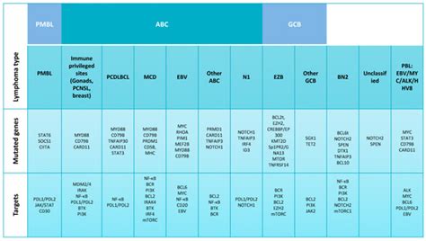 Diffuse Large B-Cell Lymphoma: Recognition of Markers for Targeted ...