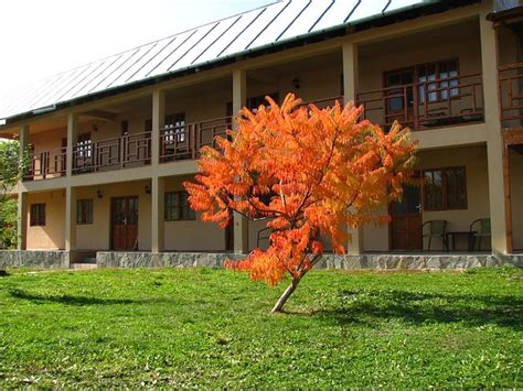 PENSIUNEA SLANIC SI VILA CLAUDIA - Guesthouse Reviews & Photos ...