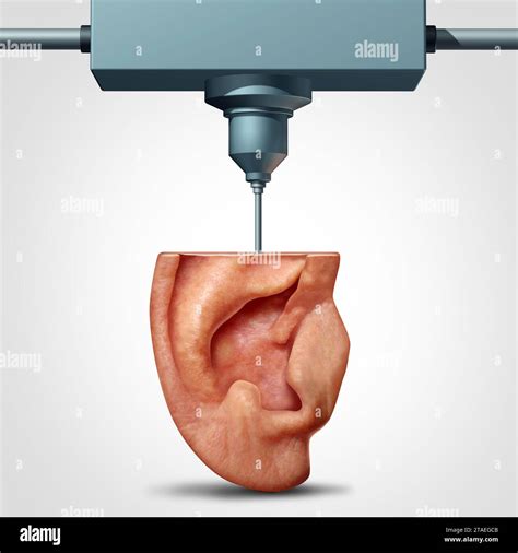Tissue Engineering 的图像结果