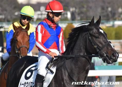 トーホウバロン (Toho Baron) | 競走馬データ - netkeiba