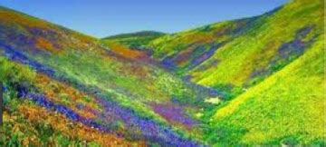 7 Days 6 Nights Rishikesh Wildlife Holiday Package | Haridwar ...