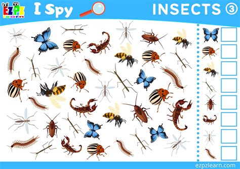 Insects 3 Topic I Spy Game for kids Free PDF Download - Ezpzlearn.com