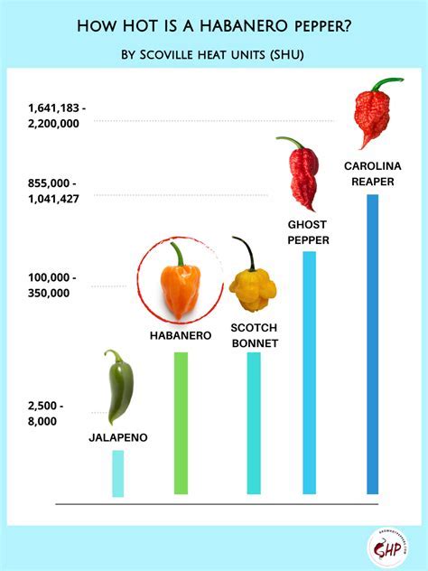 habanero vs indian chiliDownload it from habanero vs indian chili for ...