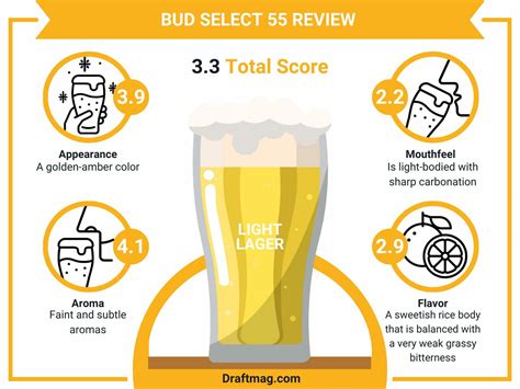Bud Select 55 Review: A Low-cal Brew for Health-conscious Drinkers