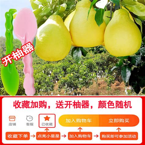 南康甜柚_赣州特产南康甜柚专题-淘金地农业网