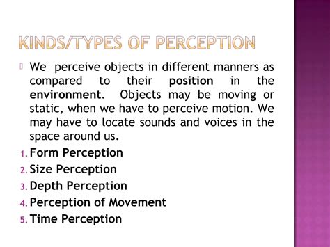 Perception Examples 的图像结果