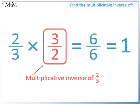 Image result for Multiplicative Inverse Explained