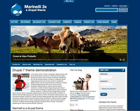 Image result for Drupal Web Design