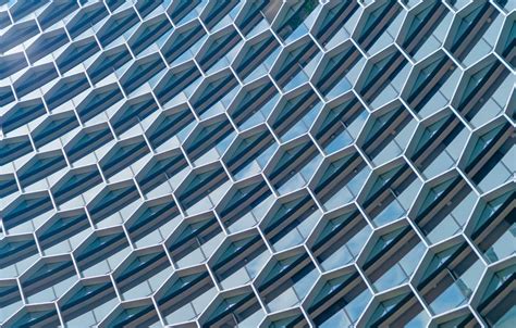 Origin, Application, and Impact of Biomimicry in Architecture