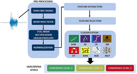 Comparative Analysis of Supervised Classifiers for the Evaluation of ...