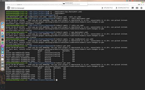 GCP Workbench Python 的图像结果