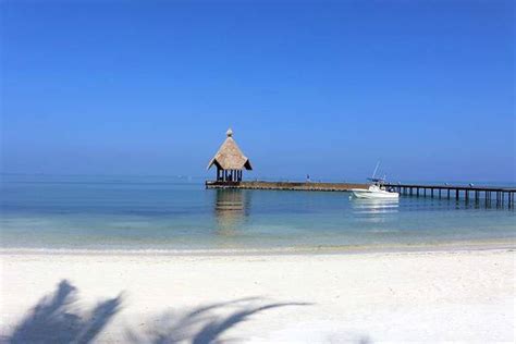 Canareef Resort Maldives | Bilder, Videos, Drohnenaufnahmen