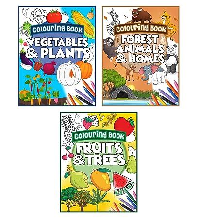 Storio Colouring Books for Kids (Set of 3 Books) - Gift to Children for ...