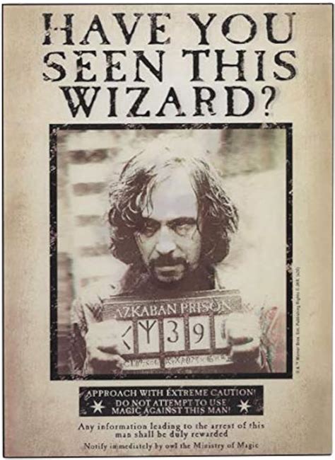 Amazon.com: Open Road Brands Harry Potter Sirius Wanted Poster 3D Wood Wall Decor - Vintage ...