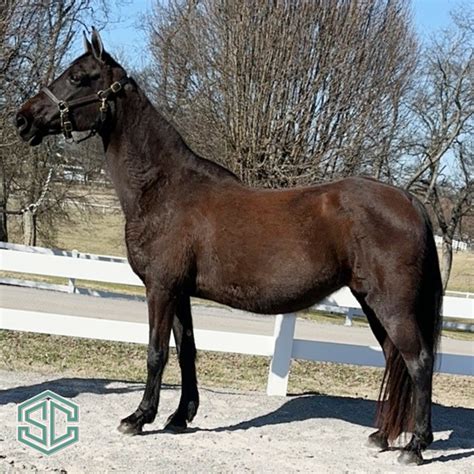 60) JAZZ ON MAIN STREET 21000627 – A daughter of WGC Main Power out of ...